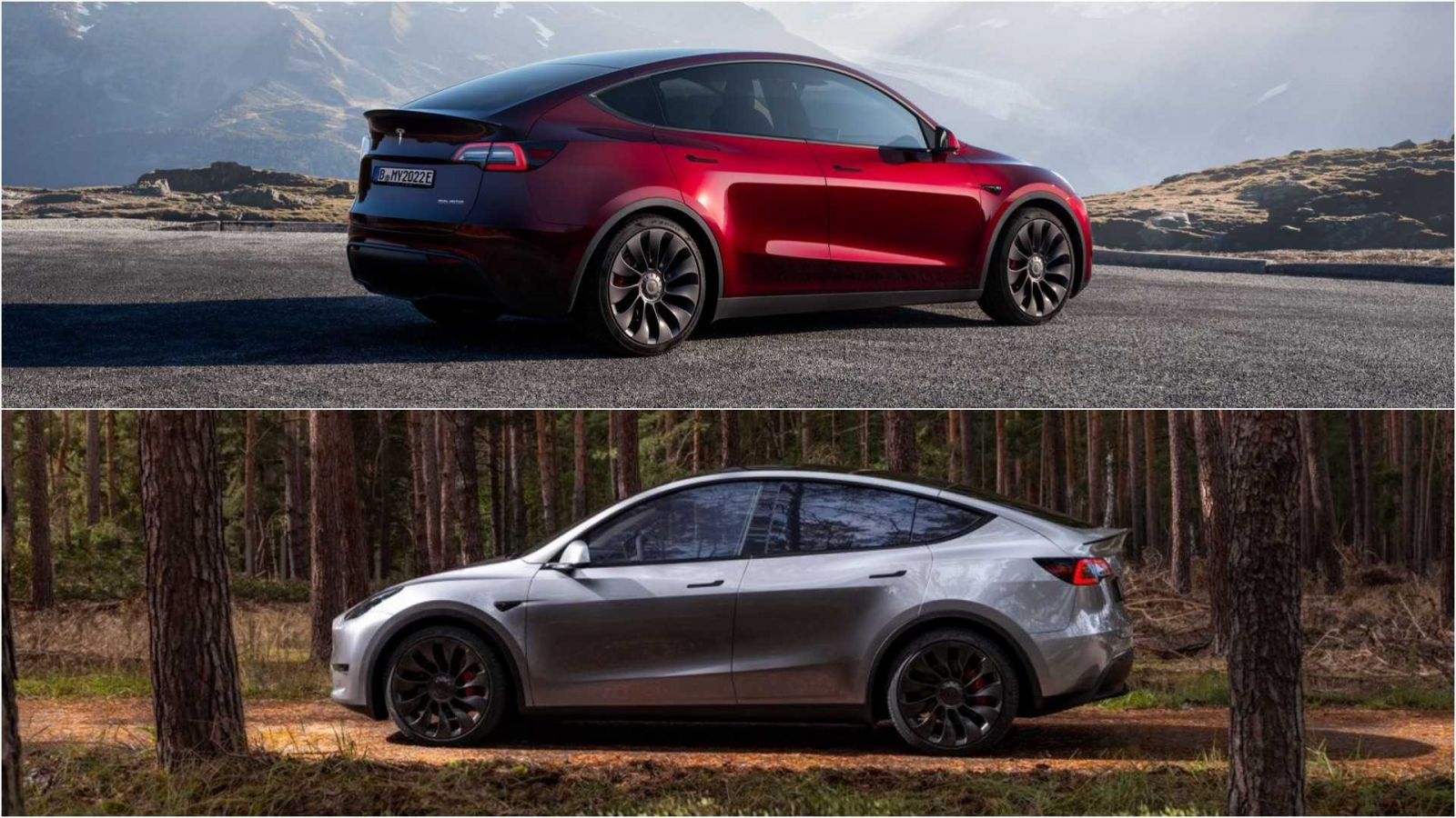 Model y deals tesla colors